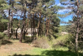 Foto 9