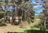 Parcel·la urbanitzable en venda a la Calle los Prados, Navaleno, ref.: TR8548 foto