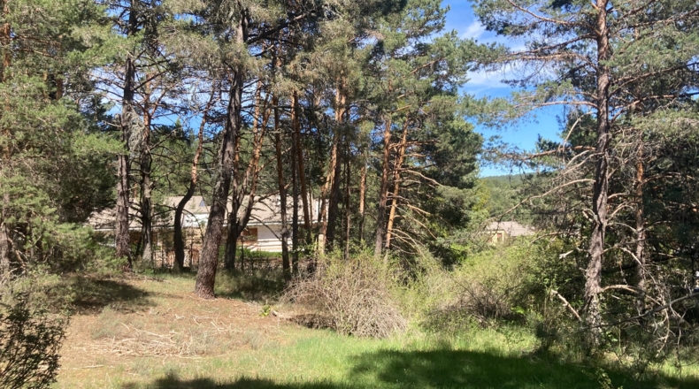Soria - Navaleno - 4677m2