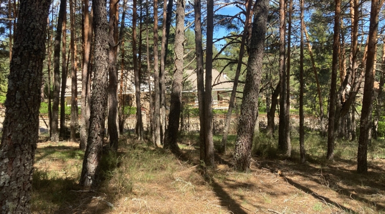 Soria - Navaleno - 4677m2