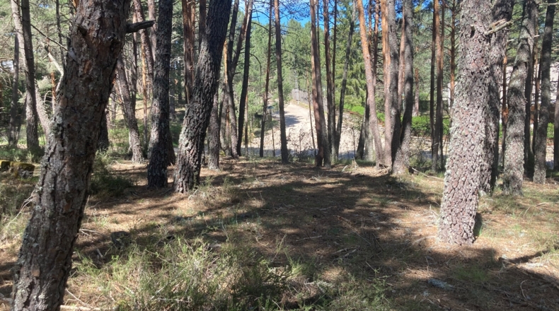 Soria - Navaleno - 4677m2