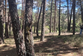 Foto 13