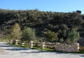Casa de camp amb terreny en venda a la FINCA LA CAPELLANIA, Taberno, ref.: TR73604 foto