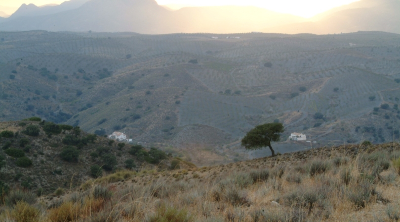 Almería - Taberno - 240000m2
