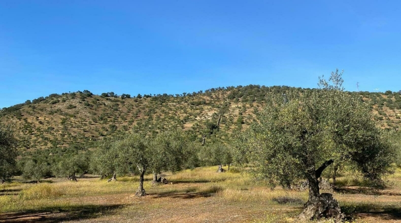 Badajoz - Puebla del Maestre - 5704m2