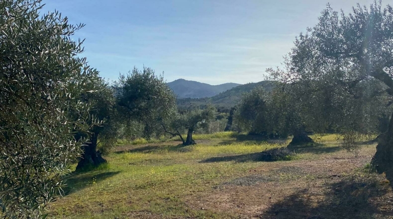 Badajoz - Puebla del Maestre - 5704m2
