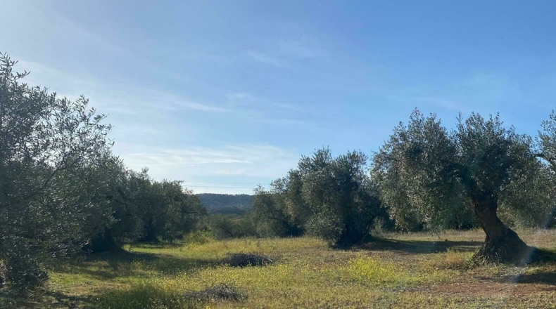 Badajoz - Puebla del Maestre - 5704m2