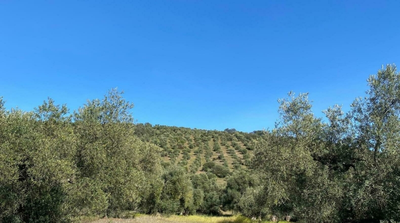 Badajoz - Puebla del Maestre - 5704m2