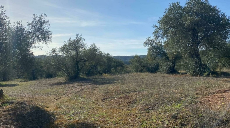 Badajoz - Puebla del Maestre - 5704m2