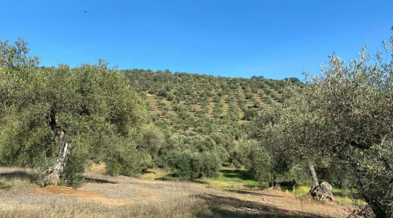 Badajoz - Puebla del Maestre - 5704m2