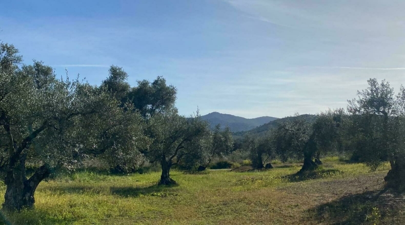 Badajoz - Puebla del Maestre - 5704m2