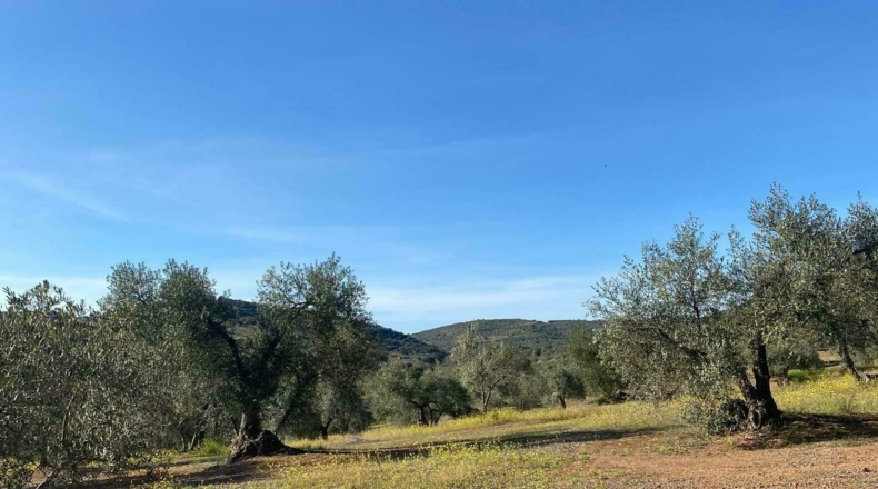 Badajoz - Puebla del Maestre - 5704m2