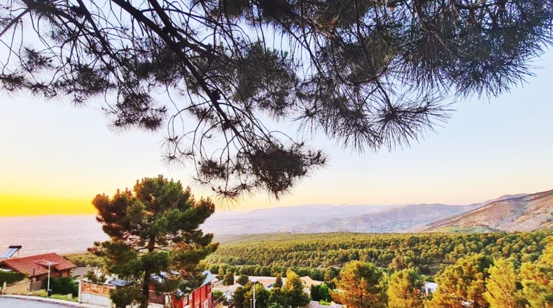 Granada - Churriana de la Vega - 687m2