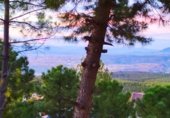 Sòl urbà en venda a la La Zubia, Churriana de la Vega, ref.: TR44713 foto
