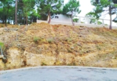 Sòl urbà en venda a la La Zubia, Churriana de la Vega, ref.: TR44713 foto