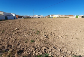 Villanueva de Alcardete 3247&nbsp;m² 