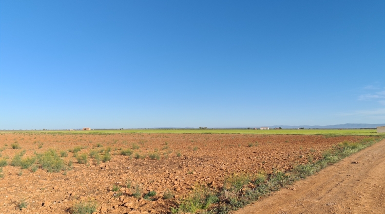Ciudad Real - Bolaños de Calatrava - 25500m2