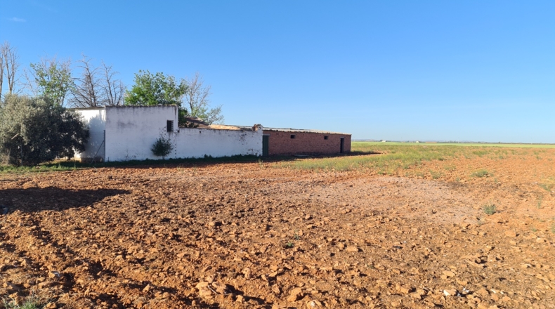 Ciudad Real - Bolaños de Calatrava - 25500m2