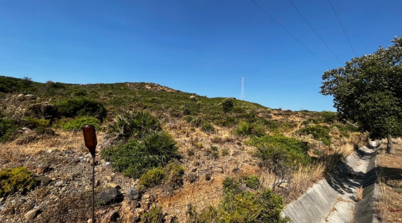 Málaga - Yedra - 40000m2