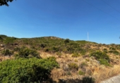 Parcel·la urbanitzable en venda a la Yedra, ref.: TR74137 foto