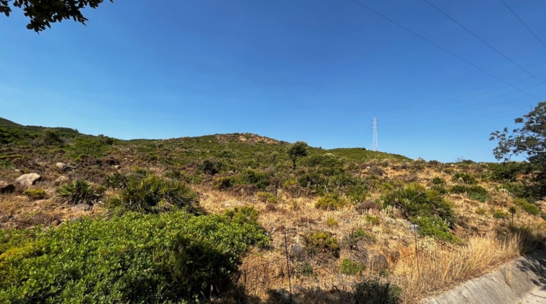 Málaga - Yedra - 40000m2