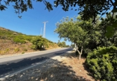 Parcel·la urbanitzable en venda a la Yedra, ref.: TR74137 foto