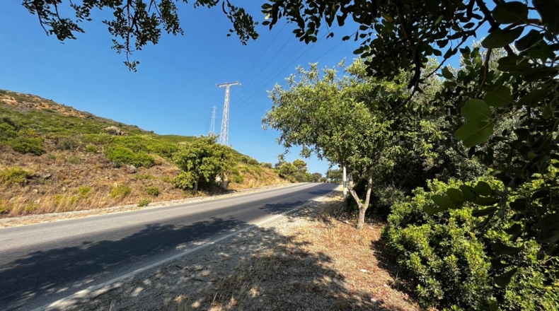 Málaga - Yedra - 40000m2