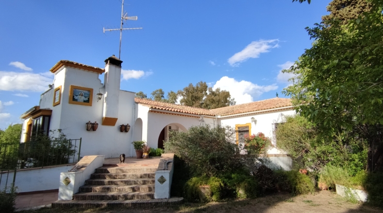 Jaén - Andújar - 30000m2
