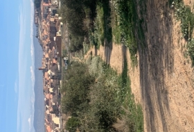 Almacelles 75995&nbsp;m²