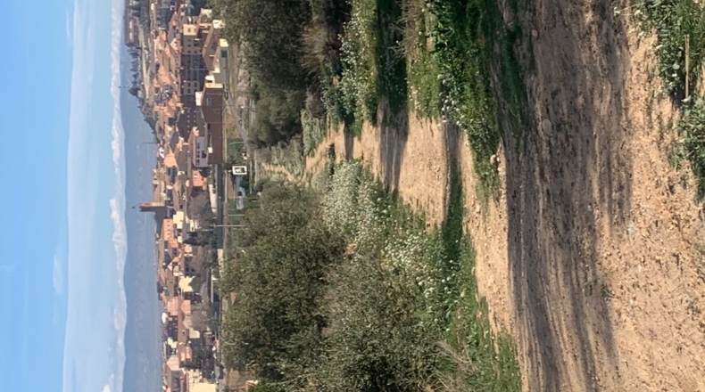 Lérida - Almacelles - 75995m2