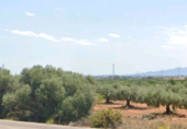 Terreny no urbanitzable en venda a la parida Bovalar, Castelló de la Plana, ref.: TR76555 foto