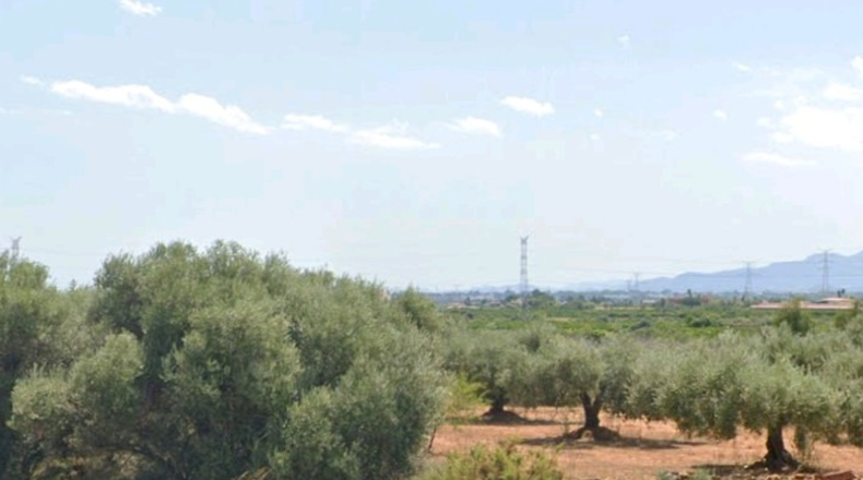 Castellón - Castelló de la Plana - 9500m2
