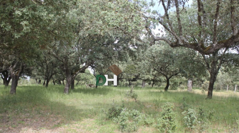 Salamanca - Salamanca - 900000m2