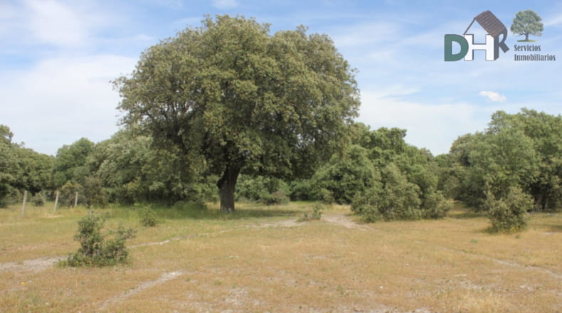 Salamanca - Salamanca - 900000m2