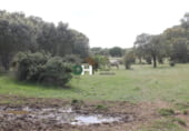 Terreny no urbanitzable en venda a la Calle Placentinos, Salamanca, ref.: TR74173 foto