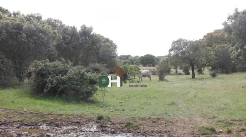Salamanca - Salamanca - 900000m2
