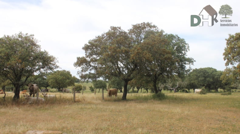 Salamanca - Salamanca - 900000m2