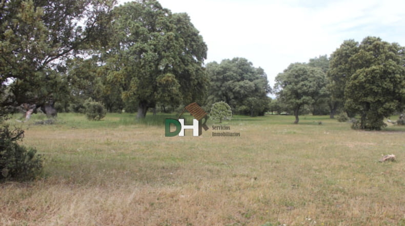 Salamanca - Salamanca - 900000m2