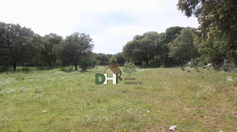 Salamanca - Salamanca - 900000m2