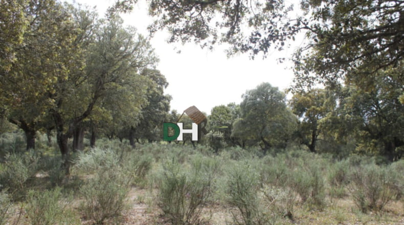 Salamanca - Salamanca - 900000m2