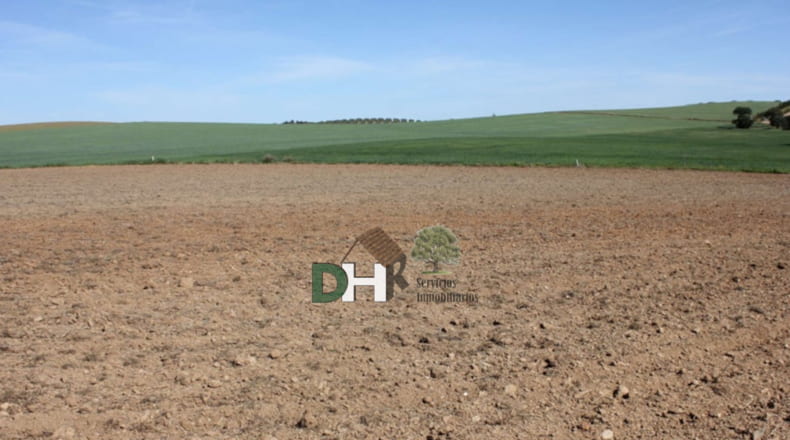 Badajoz - Badajoz - 200000m2
