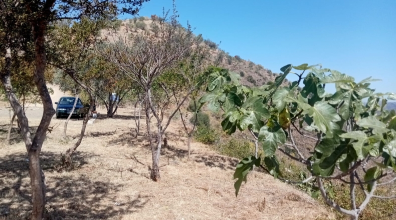Málaga - Los Gámez - 16638m2