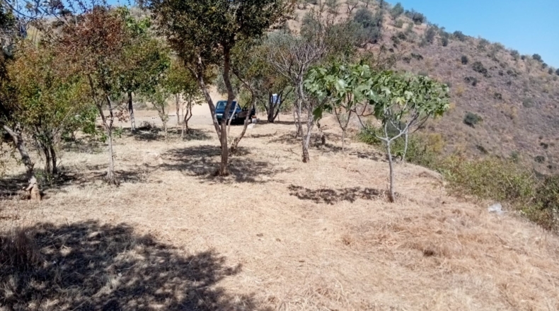 Málaga - Los Gámez - 16638m2