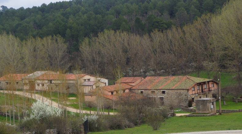 Burgos - Aldea del Pinar - 10000m2