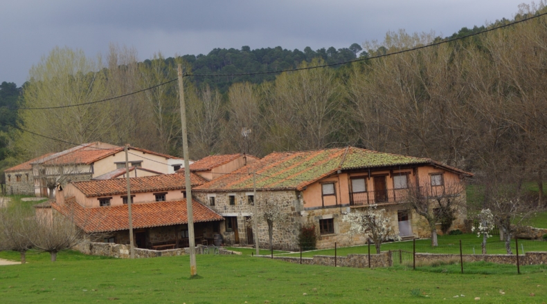 Burgos - Aldea del Pinar - 10000m2