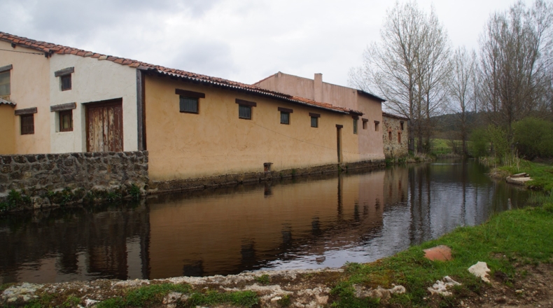 Burgos - Aldea del Pinar - 10000m2