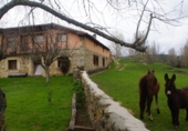 Casa de pueblo en venta en la Aldea del Pinar, ref: TR74144 foto