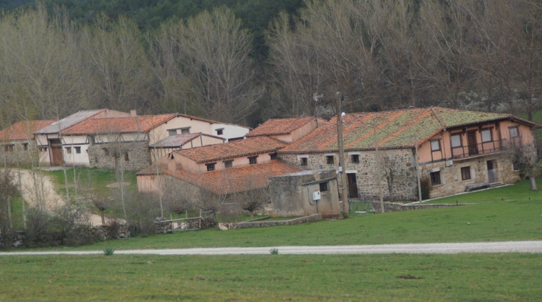 Burgos - Aldea del Pinar - 10000m2