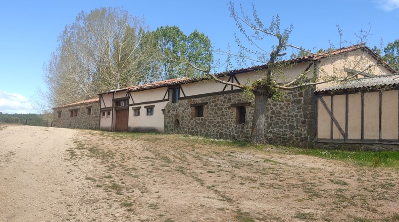 Burgos - Aldea del Pinar - 10000m2