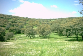 Los Morenos 973288&nbsp;m² 